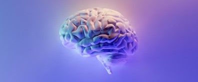 color brain