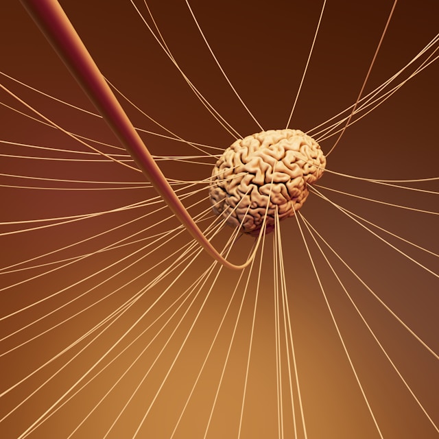 brain