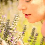 lavender