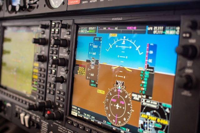 flight sim